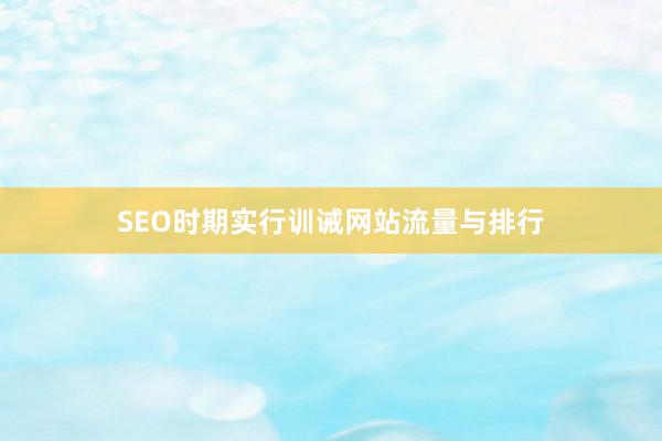 SEO时期实行训诫网站流量与排行